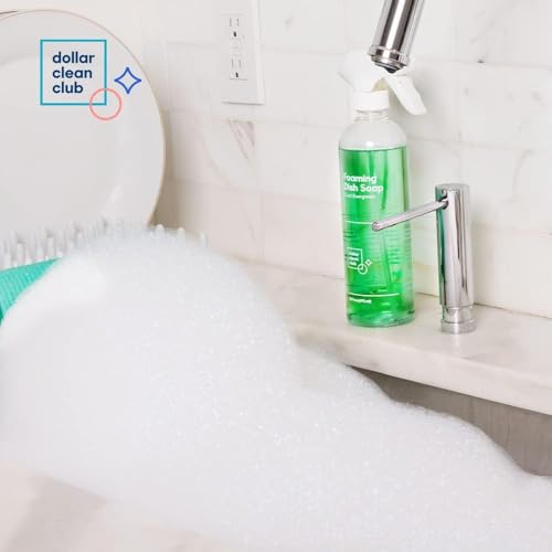 DOLLAR CLEAN CLUB Home Cleaning Parent