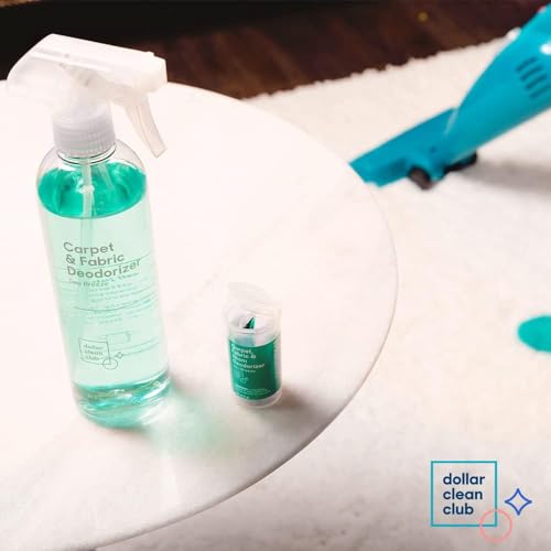 DOLLAR CLEAN CLUB Home Cleaning Parent