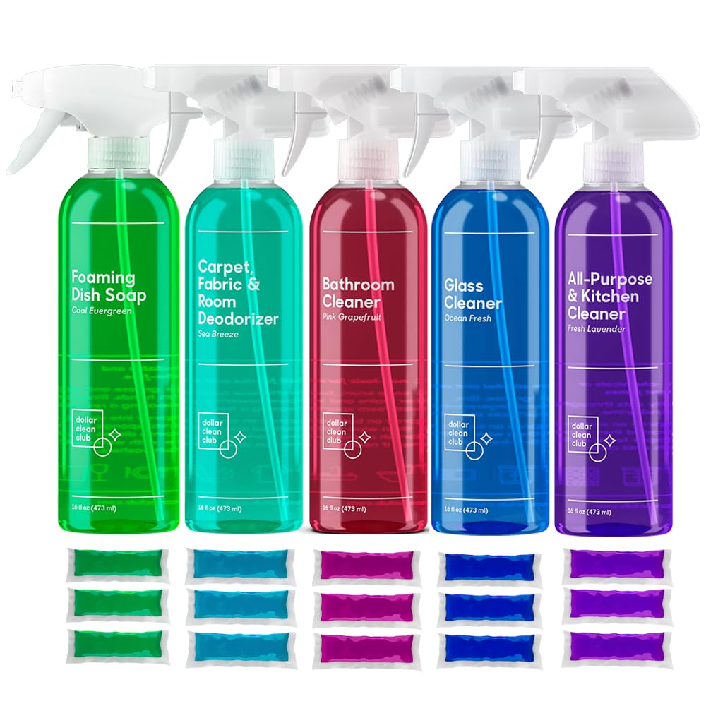 DOLLAR CLEAN CLUB Home Cleaning Parent