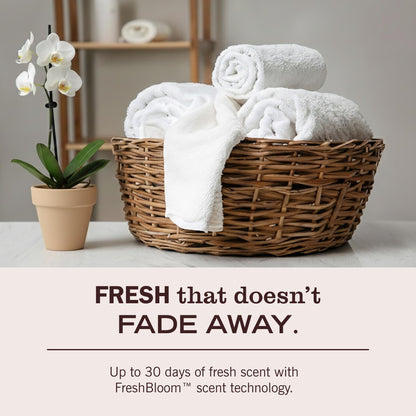 Lavender Concentrated Laundry Detergent
