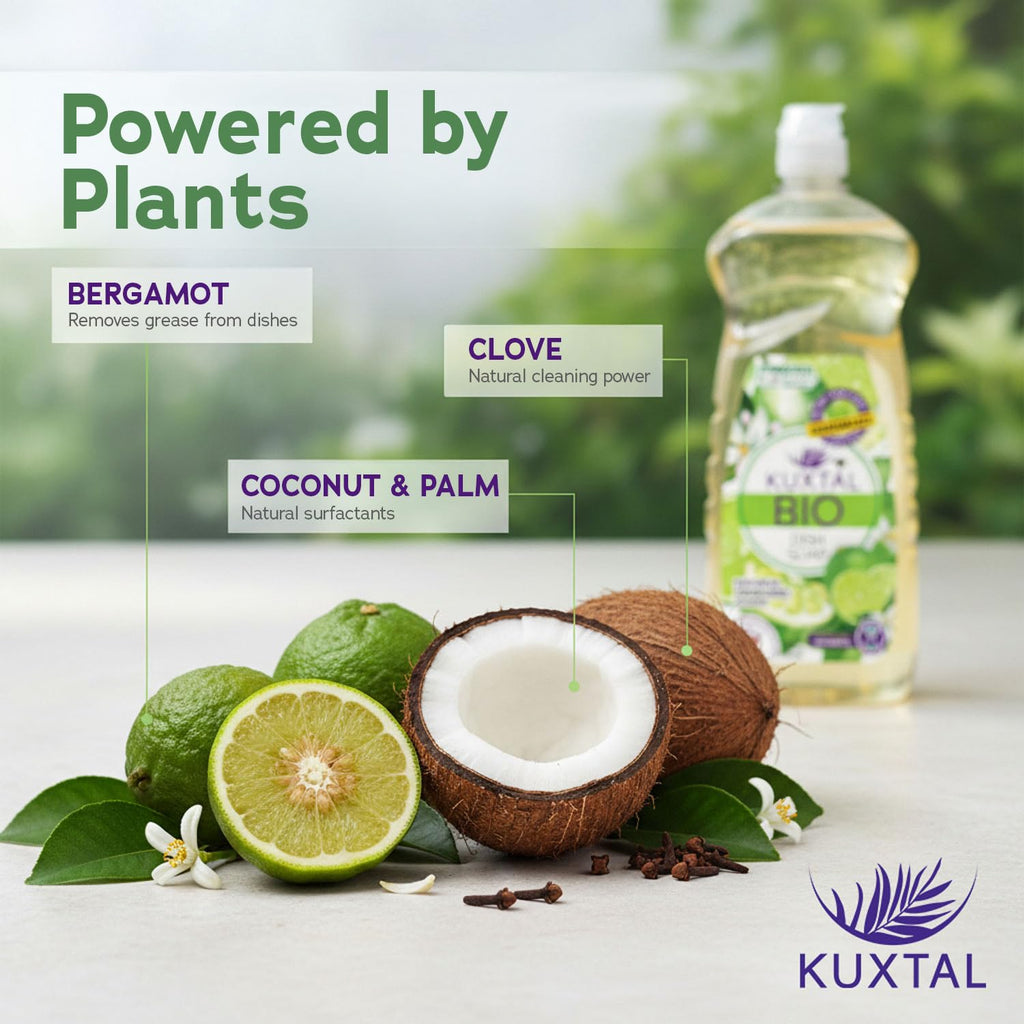 KUXTAL Dish Soap 3 Pack – Gentle on Hands, Powerful Grease Cutting, Biodegradable Plant-Based Formula for Hand Washing, Natural Citrus Scent, 27.7 fl oz Each