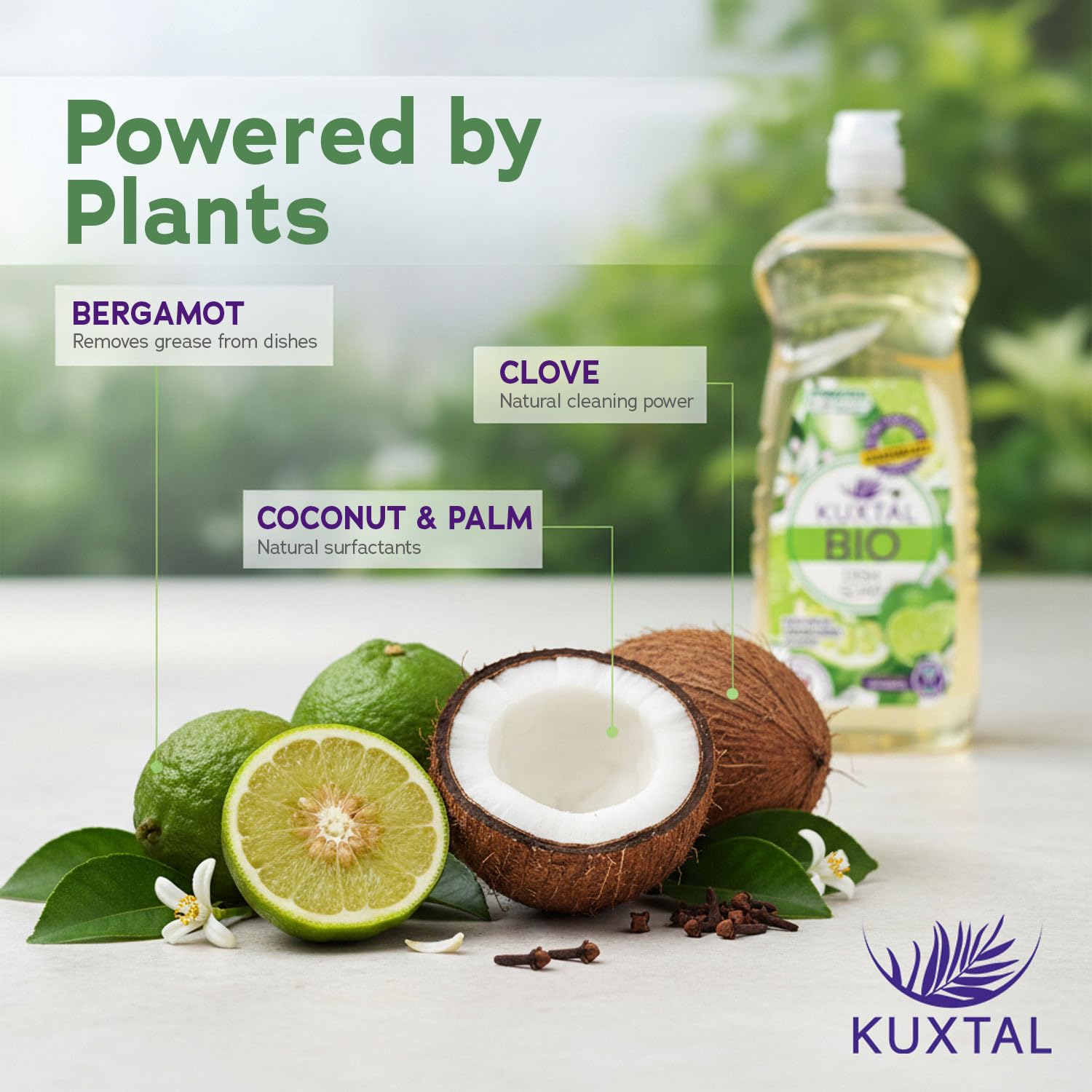 KUXTAL Dish Soap 3 Pack – Gentle on Hands, Powerful Grease Cutting, Biodegradable Plant-Based Formula for Hand Washing, Natural Citrus Scent, 27.7 fl oz Each