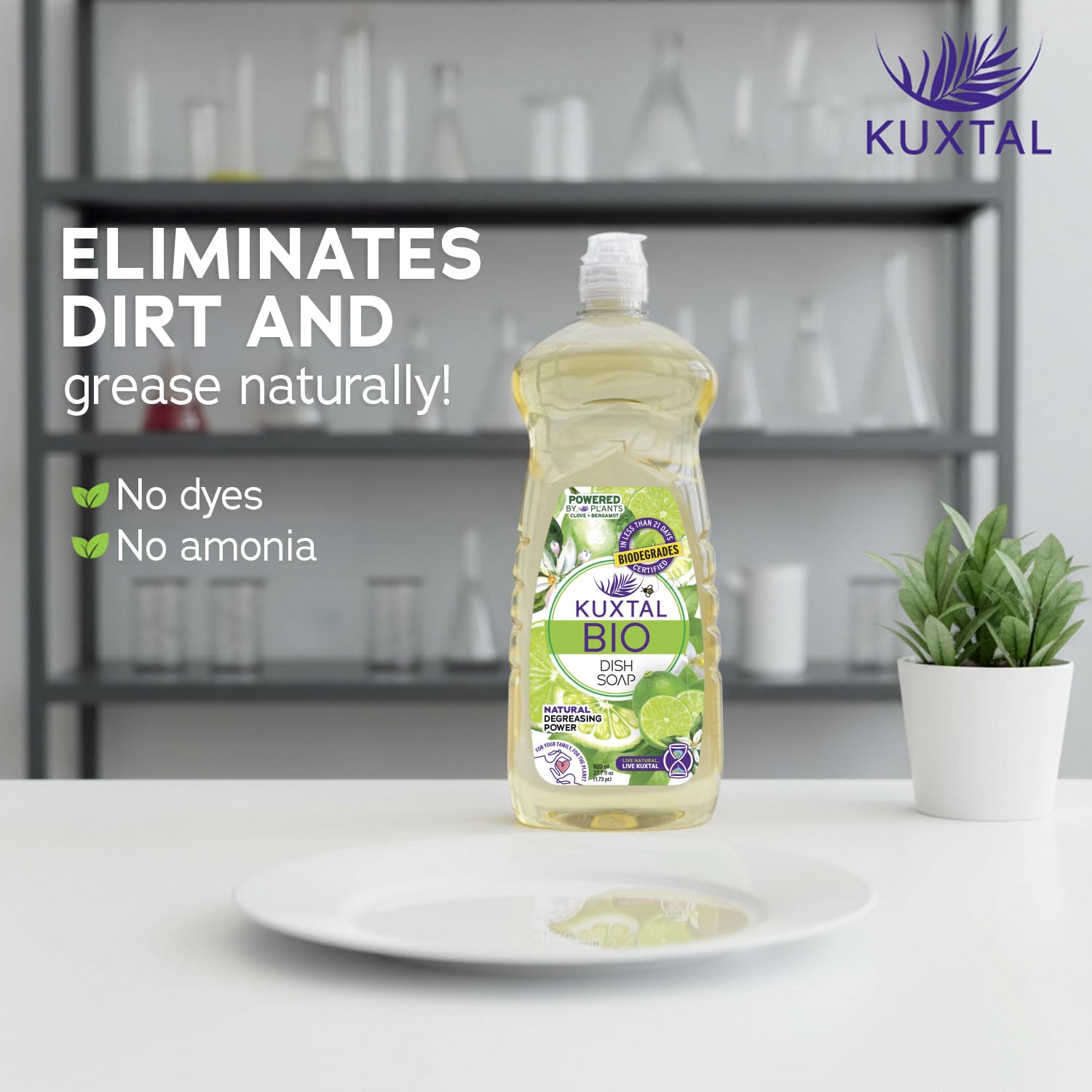 KUXTAL Dish Soap 3 Pack – Gentle on Hands, Powerful Grease Cutting, Biodegradable Plant-Based Formula for Hand Washing, Natural Citrus Scent, 27.7 fl oz Each