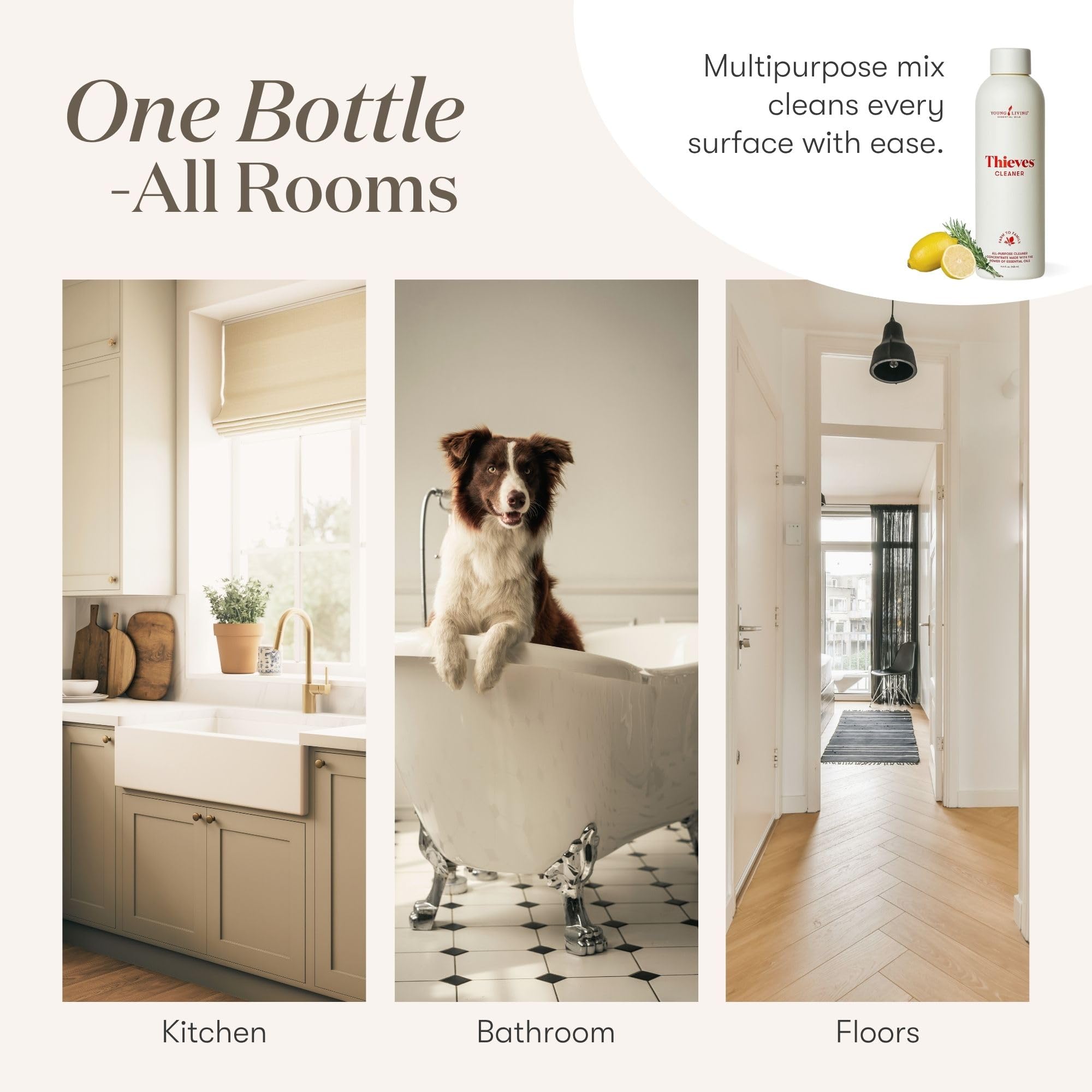 Young Living Thieves Household Cleaner