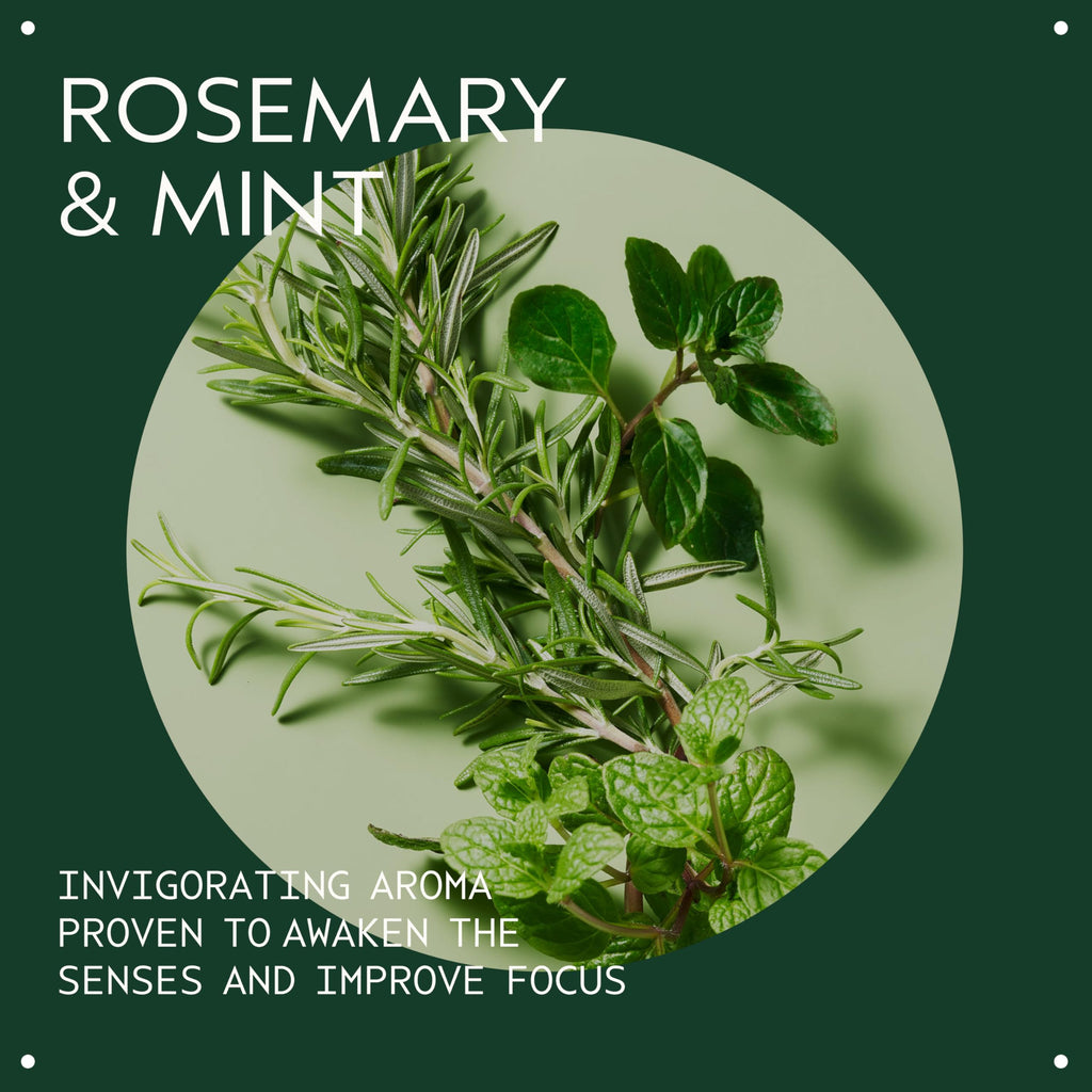 Aveda Rosemary Mint Hand & Body Wash | Liquid Hand Soap and Body Wash | with Invigorating Aroma of Certified Organic Peppermint & Rosemary