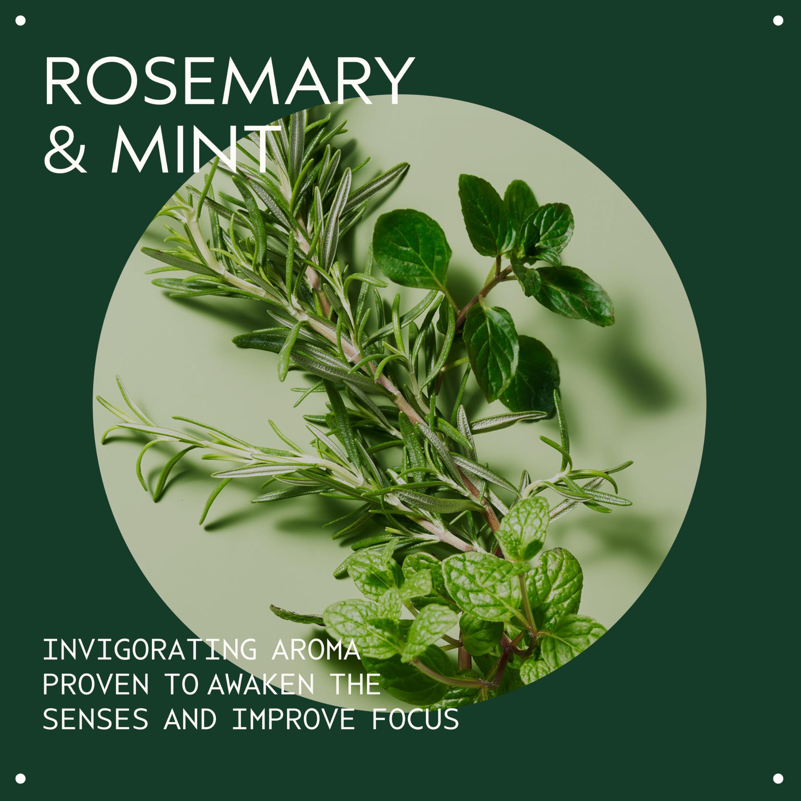 Aveda Rosemary Mint Hand & Body Wash | Liquid Hand Soap and Body Wash | with Invigorating Aroma of Certified Organic Peppermint & Rosemary