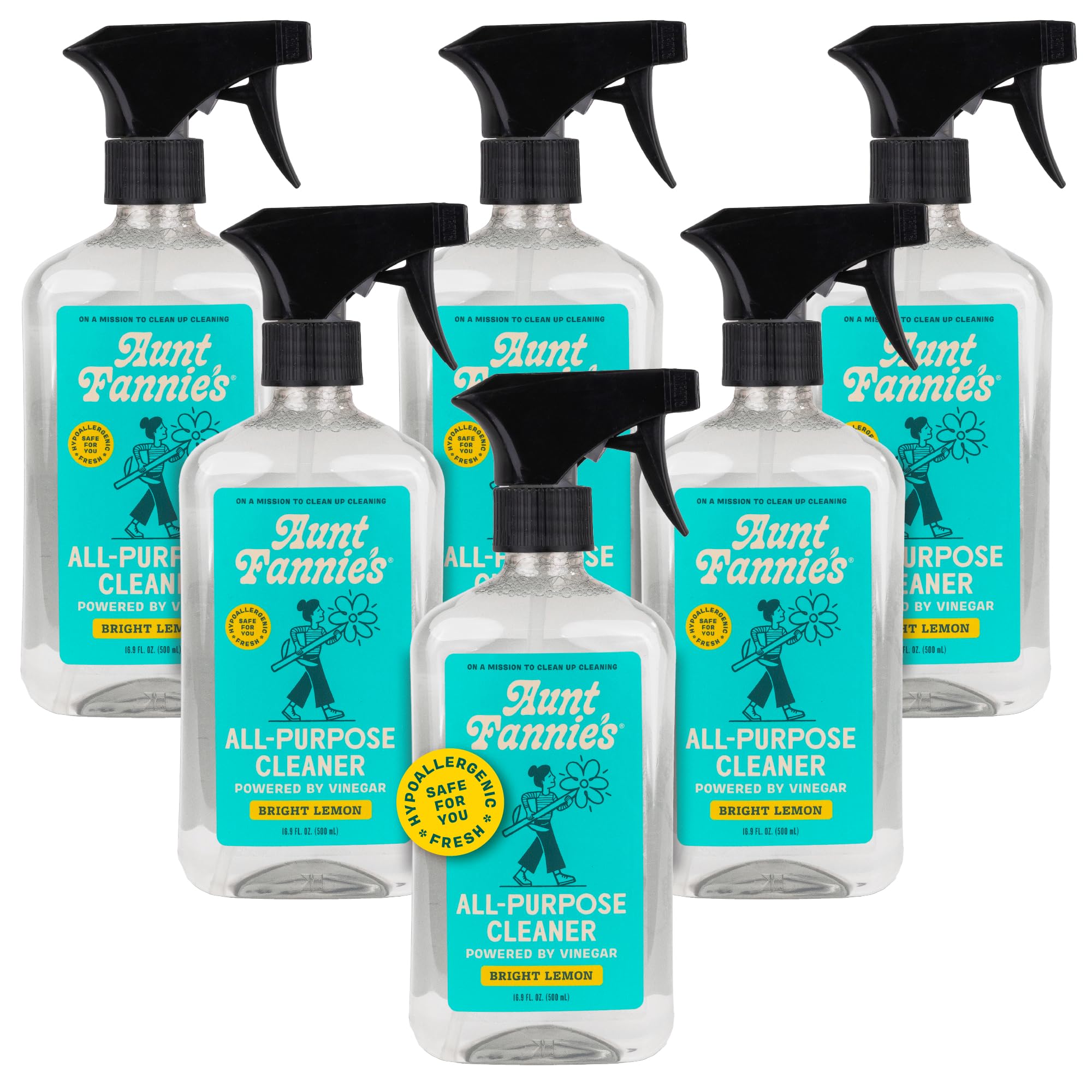 Aunt Fannie's All Purpose Cleaning Vinegar 16.9 Ounces, Multipurpose Surface Spray Cleaner